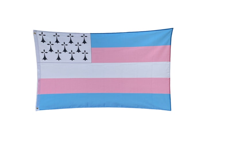 Drapeau Trans Breton image 1