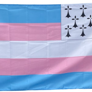 Drapeau Trans Breton image 2