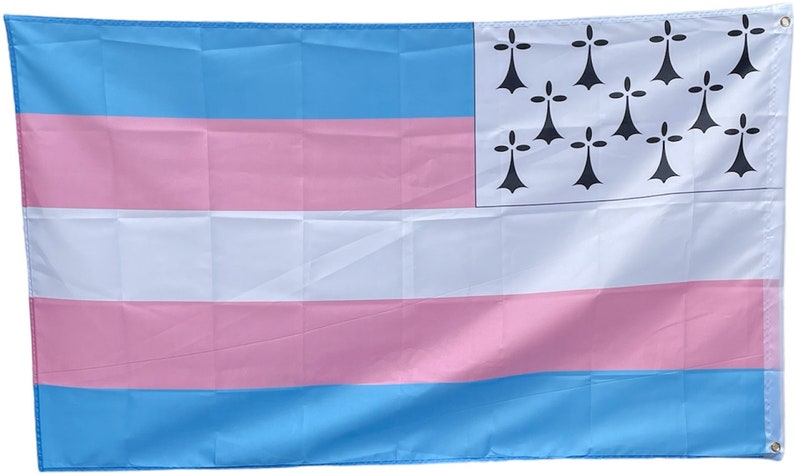 Drapeau Trans Breton image 2