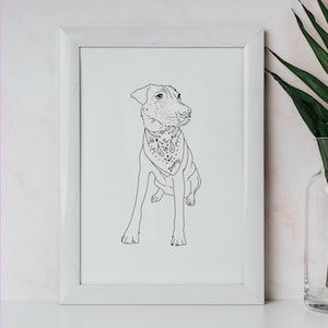 Custom pet portrait illustration | hand drawn minimalist cat / dog illustration | digital file