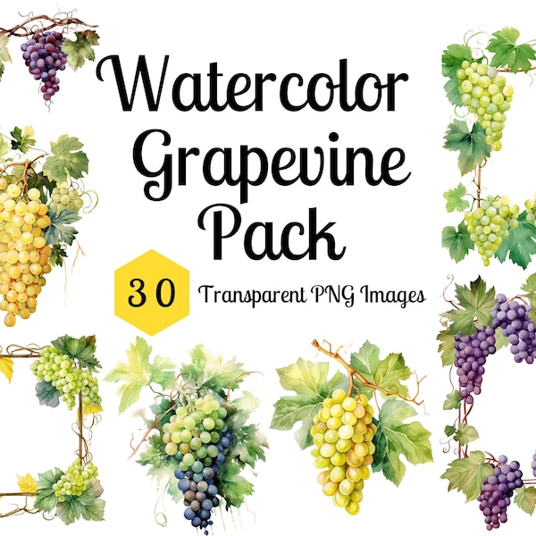 Watercolor Grapevine Clipart Pack - purple and green bouquets, frames, wreaths - Transparent Background PNG, instant download commercial use