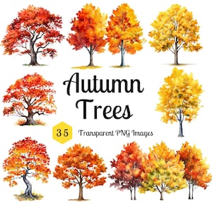 Aquarell Herbst Bäume Clipart, Zuckerahorn Eiche Buche Ginkgo Hartriegel Blätter, transparenter Hintergrund PNG Instant Download Hochzeit Karte Dekor
