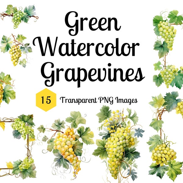 Watercolor Green Grapevines Clipart - grapevine bouquets, frames, and wreaths - Transparent Background PNG instant download commercial use