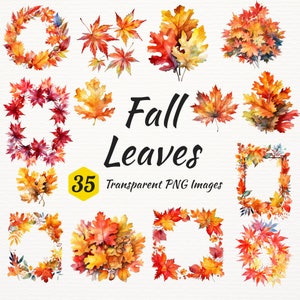Pode incluir: Um conjunto de 35 ilustrações de aquarela de folhas de outono em várias cores e formas, incluindo coroas, molduras e folhas individuais. As ilustrações são perfeitas para artesanato, scrapbooking e outros projetos criativos.