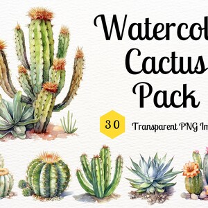 Paquete de cactus de acuarela - Paquete de cactus del desierto - 30 PNG de fondo transparente, descarga instantánea, uso comercial