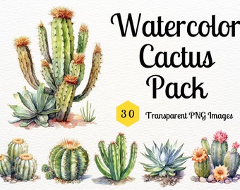 Watercolor Cactus Pack - Desert Cacti Bundle - 30 Transparent Background PNGs, instant download, commercial use