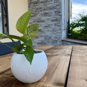 Pu&ograve; includere: Un vaso bianco sferico contiene una pianta verde con grandi foglie a forma di cuore. Il vaso &egrave; posto su un tavolo di legno con venature visibili. Lo sfondo include un edificio con un muro di pietra e uno scorcio di cielo.