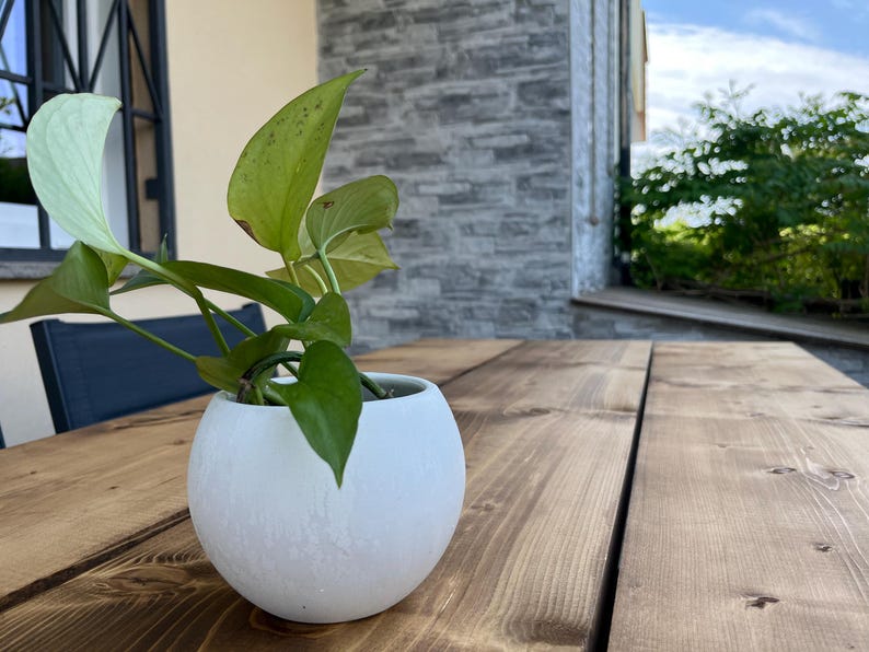 Pu&ograve; includere: Un vaso bianco sferico contiene una pianta verde con grandi foglie a forma di cuore. Il vaso &egrave; posto su un tavolo di legno con venature visibili. Lo sfondo include un edificio con un muro di pietra e uno scorcio di cielo.
