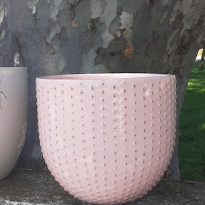 May include: A light pink ceramic planter with a textured, dotted surface. The round, bowl-shaped pot is outdoors, with a tree and grass in the background. A second, off-white planter is partially visible.