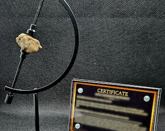 Genuine meteorite space rock in black Caliper art gift collectible with Certificate of Authenticity.