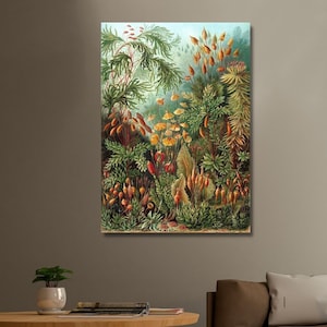 Ernst Haeckel,Botanical,Botanical Illustration, Botanical poster,Ernst Haeckel art, ready to hang,canvas print, home decor