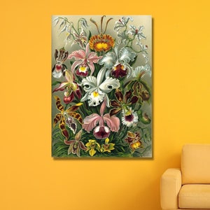 Ernst Haeckel,Botanical,Botanical Illustration, Botanical poster,Ernst Haeckel art, ready to hang,canvas print, home decor