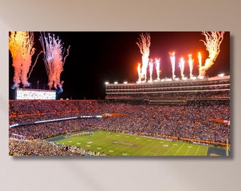 Florida Gators Football Stadium Canvas Art Print