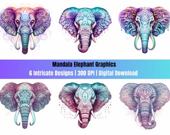 Mandala olifant collectie met witte achtergronden, 6 digitale kunstwerken, clipart, PNG, 300 DPI