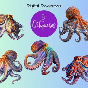 Oceanic Delights Octopus Collection, Octopus PNG, Clipart, PNG Digital, 300 DPI