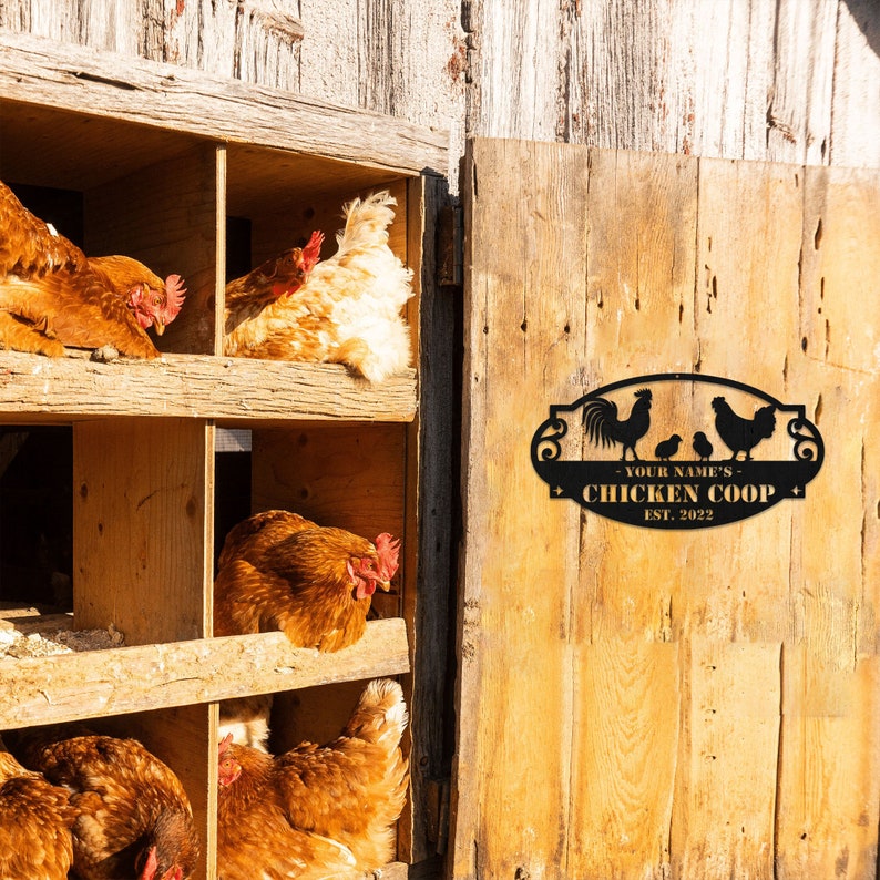 Custom Vintage Chicken Coop Metal Sign Personalized Hen Etsy