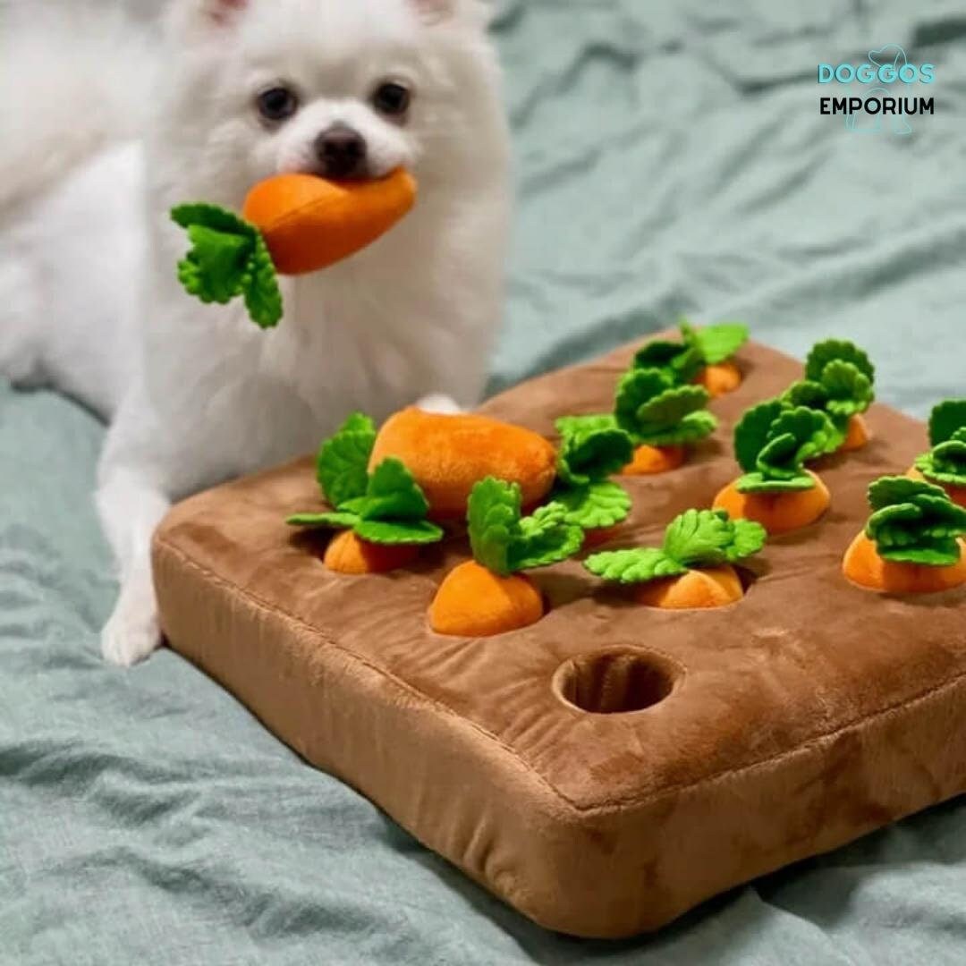 Carrot Dog Toy - Large Dog Toy – Icecreamtree Studio