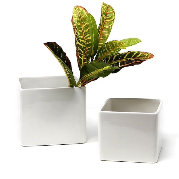 Set of 4 - 4x4x4 inches White Plastic Cube vase/organizer Made in the USA “high quality” with a classy finish