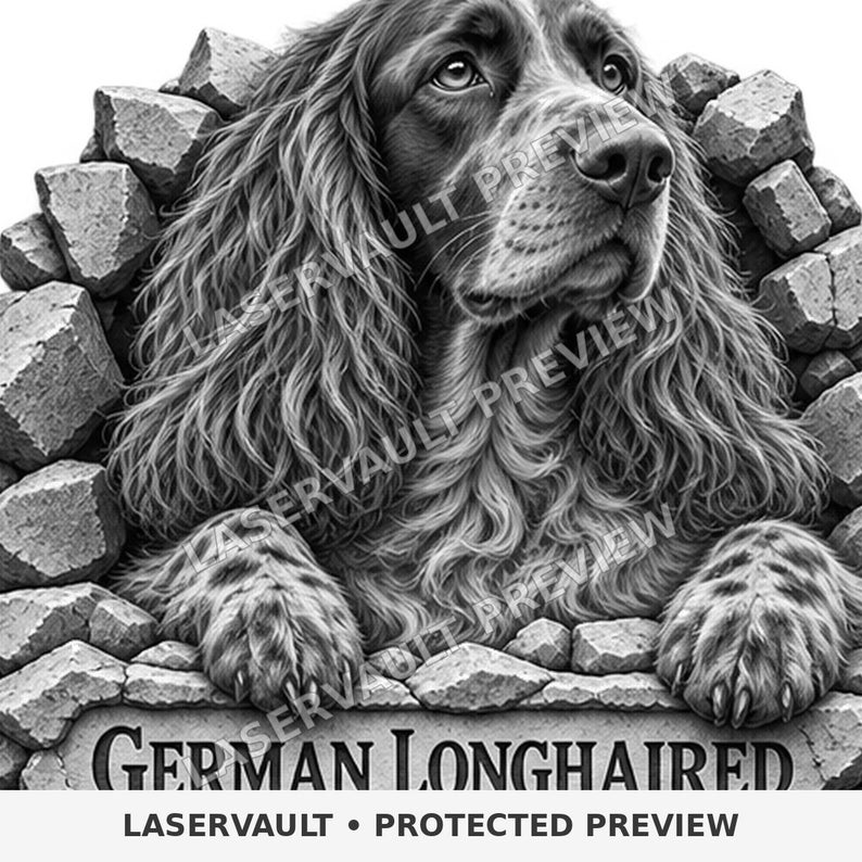 May include: A black and white illustration of a German Longhaired Pointer dog peering through a broken stone wall. The dog has long, wavy fur and is looking upward. Below the dog, the text reads GERMAN LONGHAIRED in a bold, serif font.