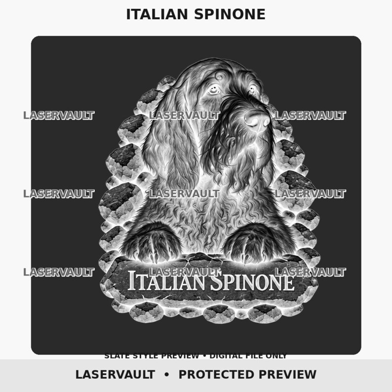 May include: A black and white graphic illustration of an Italian Spinone dog with shaggy fur, positioned behind a stone-like border. The text ITALIAN SPINONE is centered at the bottom. The image features a repeating LASERVAULT watermark overlay.