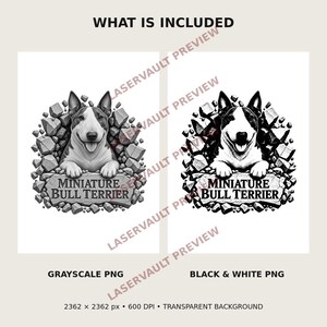 Pu&ograve; includere: Due design grafici digitali che mostrano un Miniature Bull Terrier che emerge da pietre rotte, con il testo "MINIATURE BULL TERRIER" su una targa di pietra. Una versione &egrave; in scala di grigi e l'altra in bianco e nero.