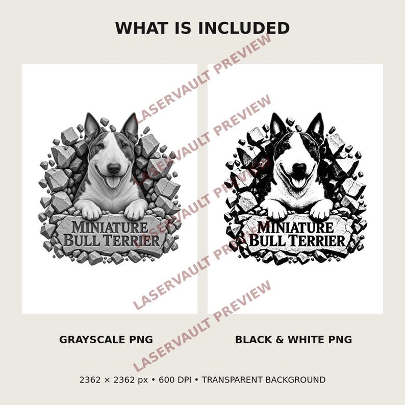 Pu&ograve; includere: Due design grafici digitali che mostrano un Miniature Bull Terrier che emerge da pietre rotte, con il testo "MINIATURE BULL TERRIER" su una targa di pietra. Una versione &egrave; in scala di grigi e l'altra in bianco e nero.