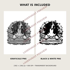 May include: Two digital graphic files featuring a Hamiltonstovare dog emerging from a stone wall. One version is in grayscale and the other is in high-contrast black and white. Both images include the text HAMILTONSTOVARE, 2362 x 2362 px, 600 DPI.