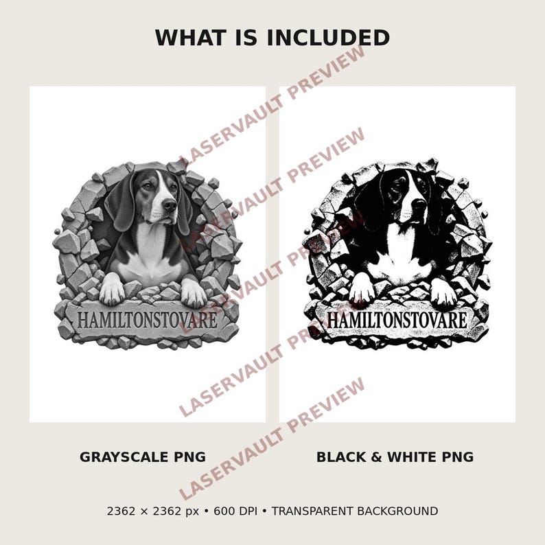 May include: Two digital graphic files featuring a Hamiltonstovare dog emerging from a stone wall. One version is in grayscale and the other is in high-contrast black and white. Both images include the text HAMILTONSTOVARE, 2362 x 2362 px, 600 DPI.