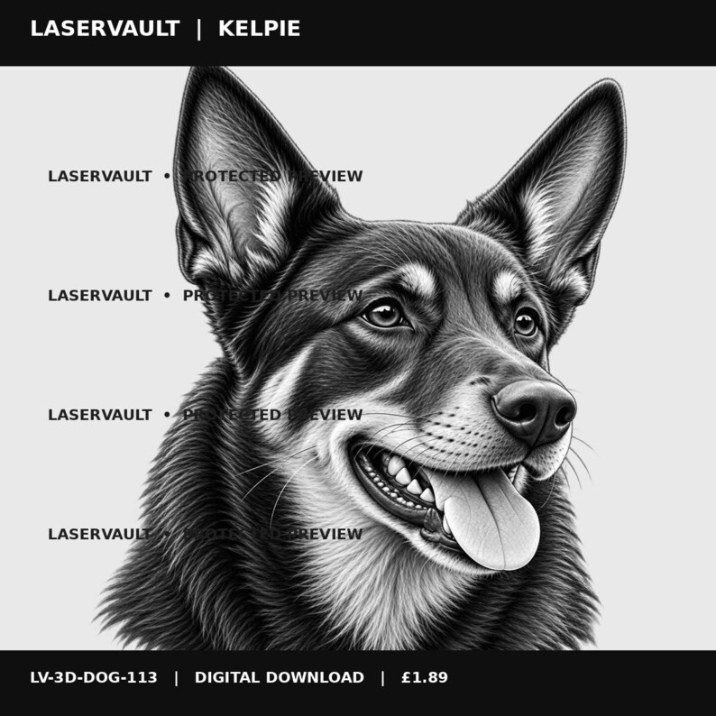 Puede incluir: Una ilustraci&oacute;n digital en blanco y negro de la cabeza de un perro Kelpie con orejas puntiagudas y la boca abierta mostrando la lengua. La imagen presenta el texto LASERVAULT | KELPIE arriba y LASERVAULT PROTECTED PREVIEW en el lateral.