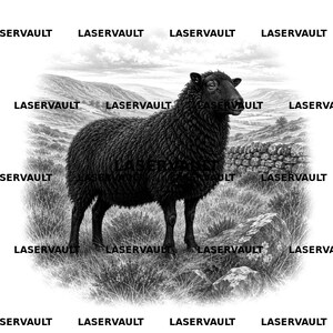 Pu&ograve; includere: Un'illustrazione in bianco e nero di una pecora in piedi in un campo erboso con colline e un muro di pietra sullo sfondo. La parola LASERVAULT &egrave; ripetuta pi&ugrave; volte in un motivo a griglia sull'intera immagine.