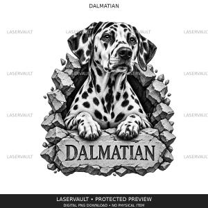 Puede incluir: Una ilustraci&oacute;n gr&aacute;fica en blanco y negro de un perro d&aacute;lmata emergiendo de un muro de piedra agrietado. El perro tiene manchas distintivas y apoya sus patas delanteras en una repisa de piedra con la palabra DALMATIAN grabada en may&uacute;sculas.