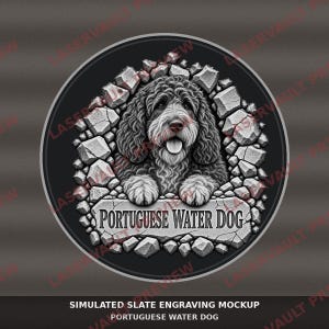 Op de afbeelding: Een rond grafisch ontwerp met een gedetailleerde illustratie van een Portugese Waterhond met krullende vacht, geplaatst achter een gebarsten stenen muureffect. De tekst PORTUGUESE WATER DOG is onderaan in een stenen plaat gegraveerd.