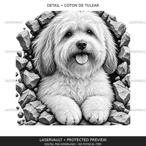 May include: A black and white digital illustration of a Coton de Tulear dog with long, fluffy fur, dark eyes, and an open mouth with its tongue out. The dog is framed by a jagged, broken stone wall effect with the text LASERVAULT repeated.