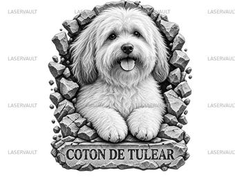 Op de afbeelding: Een zwart-witte grafische illustratie van een Coton de Tulear hond met pluizige vacht en een open bek, die uit een gebroken stenen muur lijkt te komen. De tekst Coton de Tulear staat op een stenen plaquette aan de onderkant van de afbeelding.
