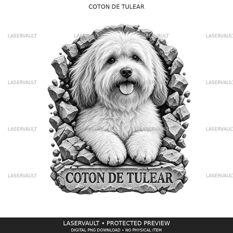 May include: A black and white graphic illustration of a Coton de Tulear dog with fluffy fur and an open mouth, appearing to emerge from a broken stone wall. The text Coton de Tulear is displayed on a stone plaque at the base of the image.