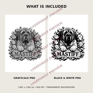 Peut inclure: Deux designs graphiques num&eacute;riques repr&eacute;sentant un chien Mastiff &eacute;mergeant d'un mur de pierre. Une version est en niveaux de gris et l'autre en noir et blanc contrast&eacute;. Les deux images incluent le texte MASTIFF sur une base en pierre.