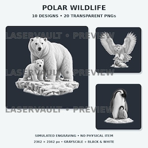 Op de afbeelding: Een digitale collectie getiteld POLAR WILDLIFE met 10 ontwerpen en 20 transparante PNG's. De afbeeldingen tonen grijstinten illustraties van een ijsbeer met jong, een sneeuwuil in vlucht en een pingu&iuml;n met een kuiken op ijs.