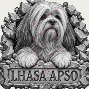 Op de afbeelding: Een zwart-witte grafische illustratie van een langharige Lhasa Apso hond die uit een gebroken stenen muur tevoorschijn komt. De hond rust zijn poten op een stenen plaquette met de tekst LHASA APSO en HIGH-DETAIL ENGRAVING ART.