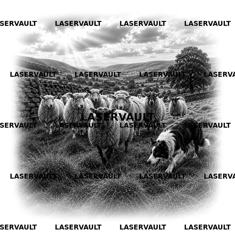 Pu&ograve; includere: Una stampa paesaggistica in bianco e nero con un gregge di pecore in un campo erboso con un muro di pietra e un grande albero. Un cane da pastore &egrave; in primo piano. La parola LASERVAULT &egrave; ripetuta sull'immagine in uno schema a griglia.