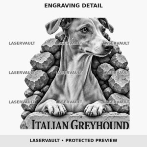 Op de afbeelding: Een zwart-wit gravure van een Italiaanse windhond die zijn poten op een stenen richel laat rusten. De tekst LASERVAULT verschijnt herhaaldelijk over de afbeelding, met de woorden ITALIAN GREYHOUND gedrukt op de basis van de stenen structuur.