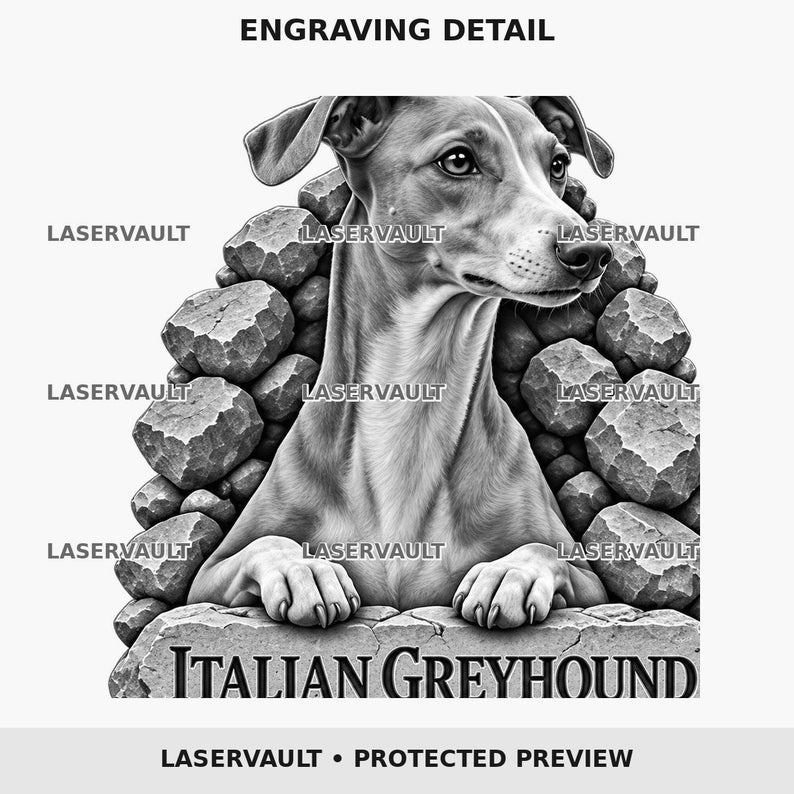 Op de afbeelding: Een zwart-wit gravure van een Italiaanse windhond die zijn poten op een stenen richel laat rusten. De tekst LASERVAULT verschijnt herhaaldelijk over de afbeelding, met de woorden ITALIAN GREYHOUND gedrukt op de basis van de stenen structuur.