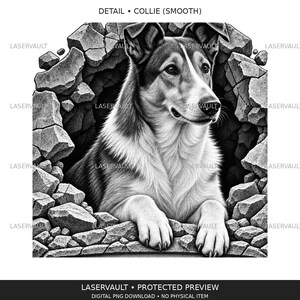 以下が含まれることがあります： 石壁の穴から現れるスムースコリー犬の白黒グラフィックイラスト。上部に「DETAIL COLLIE (SMOOTH)」、下部に「LASERVAULT PROTECTED PREVIEW DIGITAL PNG DOWNLOAD NO PHYSICAL ITEM」というテキストが記載されています。