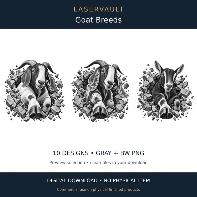 Op de afbeelding: Een digitale grafische set getiteld LASERVAULT Goat Breeds met drie zwart-witillustraties van geiten die uit gebarsten stenen oppervlakken tevoorschijn komen. De tekst bevat 10 DESIGNS, GRAY + BW PNG, Preview selection en DIGITAL DOWNLOAD.