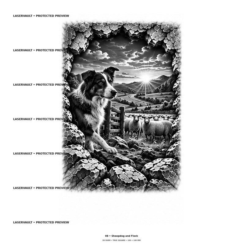 Pu&ograve; includere: Una stampa grafica in bianco e nero intitolata 08 Sheepdog and Flock, 100 x 100 mm. Raffigura un cane da pastore vicino a un muro di pietra che osserva un gregge di pecore in un campo all'alba, incorniciato da un bordo roccioso e testurizzato.