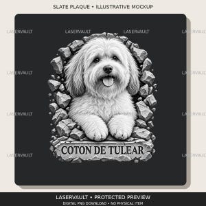 May include: A black and white graphic design featuring a fluffy Coton de Tulear dog emerging from a cracked stone frame. The text COTON DE TULEAR is engraved on a stone slab at the bottom. The design includes repeating LASERVAULT watermarks.
