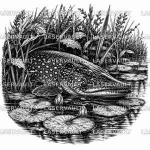 Puede incluir: Una ilustraci&oacute;n en tinta negra y blanca de un lucio nadando a trav&eacute;s del agua con nen&uacute;fares y hierbas acu&aacute;ticas altas. El pez tiene un patr&oacute;n moteado en su cuerpo y est&aacute; posicionado horizontalmente entre la vegetaci&oacute;n y las plantas acu&aacute;ticas.