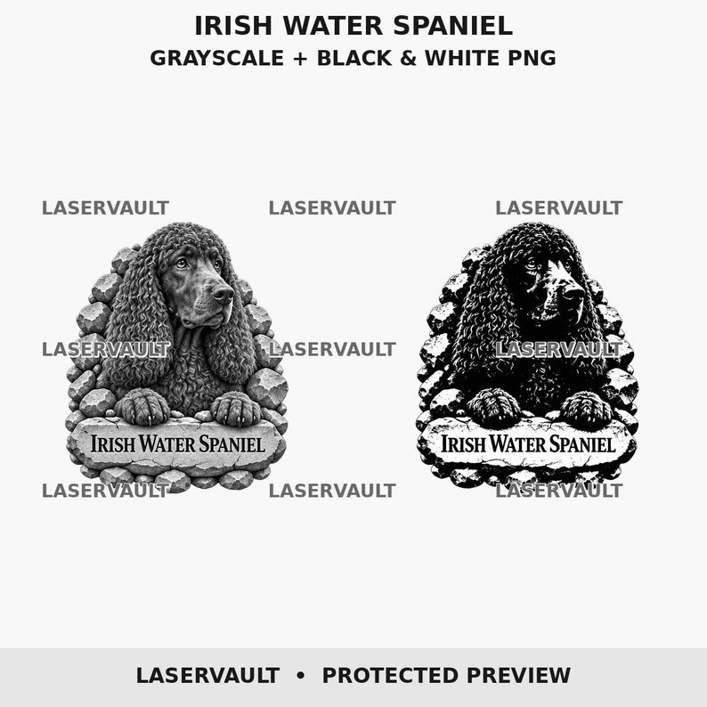 May include: Two digital illustrations of an Irish Water Spaniel dog, one in grayscale and one in high-contrast black and white. The dog is framed by a stone border with the text IRISH WATER SPANIEL on a stone plaque at the base. LASERVAULT text appears.