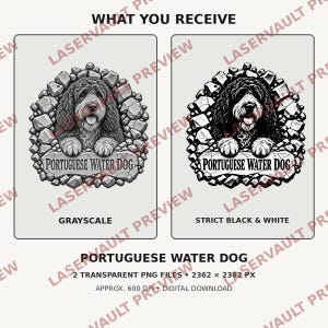 Op de afbeelding: Twee digitale grafische ontwerpen van een Portugese waterhond die door een stenen frame kijkt. E&eacute;n versie is in grijstinten, de andere in strikt zwart-wit. Beide bevatten de tekst PORTUGUESE WATER DOG op een stenen plaat eronder.