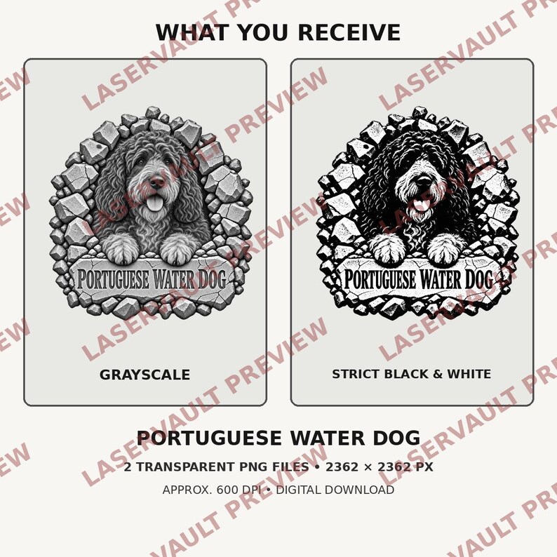 Op de afbeelding: Twee digitale grafische ontwerpen van een Portugese waterhond die door een stenen frame kijkt. E&eacute;n versie is in grijstinten, de andere in strikt zwart-wit. Beide bevatten de tekst PORTUGUESE WATER DOG op een stenen plaat eronder.