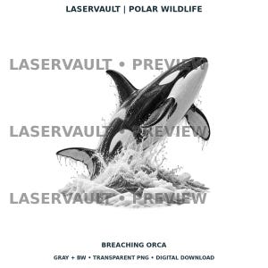 Op de afbeelding: Een zwart-witte digitale illustratie van een springende orka die uit het water komt met spatten en ijsblokken. De tekst LASERVAULT | POLAR WILDLIFE en BREACHING ORCA is zichtbaar, evenals GRAY + BW &bull; TRANSPARENT PNG &bull; DIGITAL DOWNLOAD.
